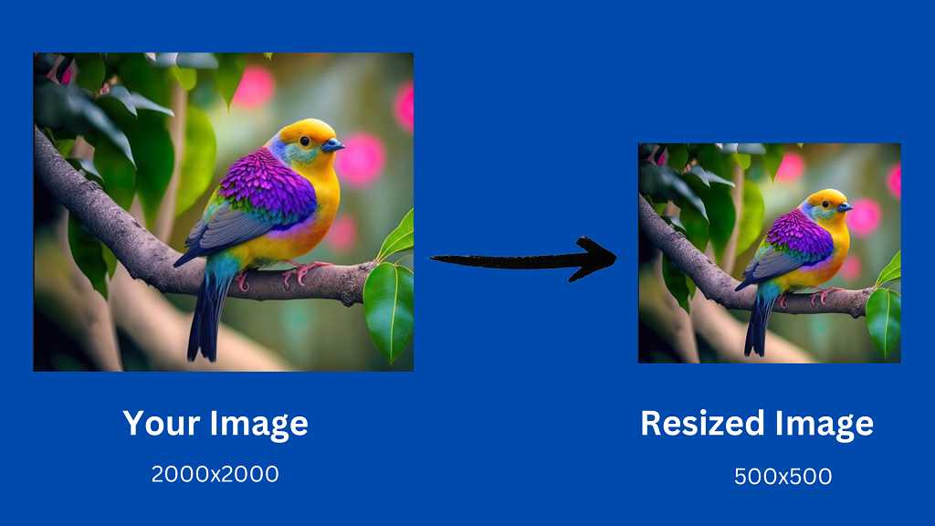 imageresize